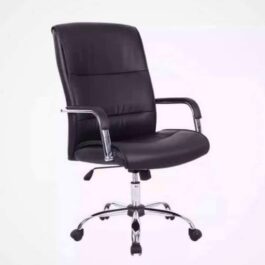 Executive Office Chair, Swings up and down